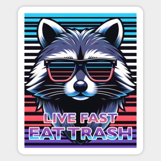 Live Fast Eat Trash Magnet